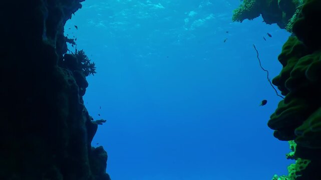 Silhouette of underwater canyon walls with turquoise water of open ocean water in background, Slow motion, Samera moves forward approaching the canyon exit, Diving in a coral canyon