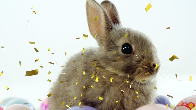 Sitting small brown rabbit tracking falling gold confetti on white backdrop, with pastel eggs