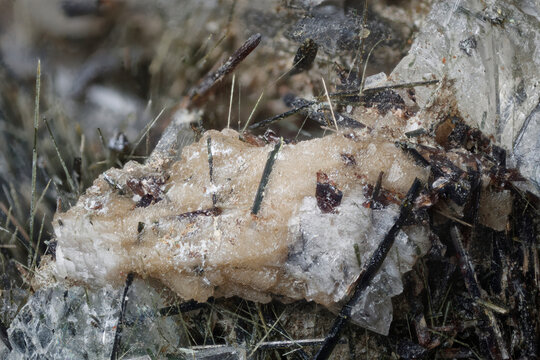 Macro lorenzenite pink reddish crystals alongside aegirine black acicular formations within analcime white matrix from Aikuaivenchorr Mountain, Russia, via microscope, 10x magnification