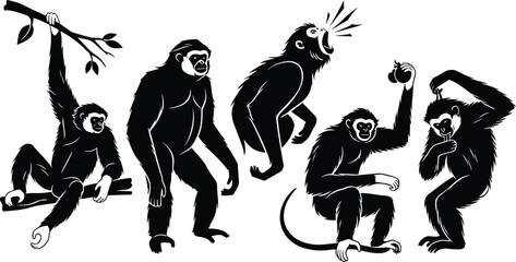 Primate illustrations, black and white, fruit gesture, vocal pose, tree hanging, upright stance, cartoon style, animal design, character set © TAHASINANJUM