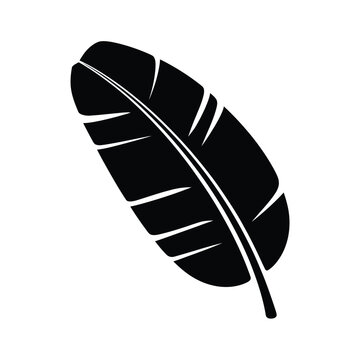 A striking black silhouette of a single curved banana leaf
