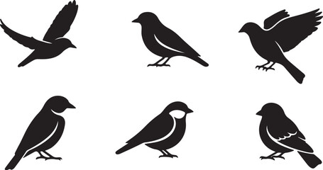 Fototapeta premium Blackbird Silhouette Vector Collection - Isolated Songbird Icons Set