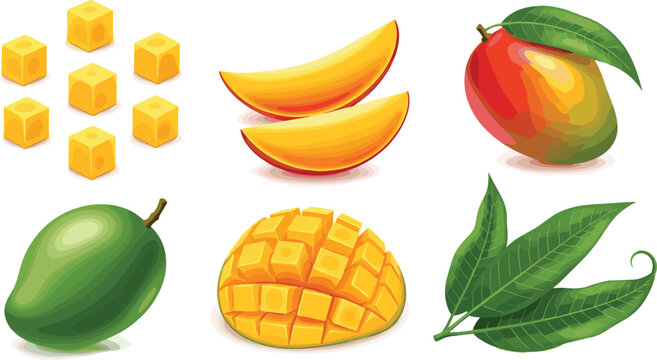 Fresh mango fruit whole sliced cubes and leaves tropical juicy food flat vector illustration set isolated