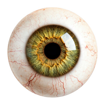 PNG Detailed human eye close-up.