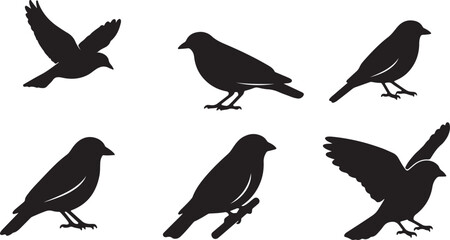 Obraz premium Blackbird Silhouette Vector Collection - Isolated Songbird Icons Set