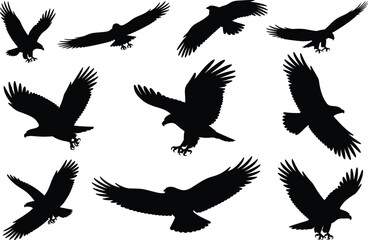 Obraz premium Eagle silhouette set featuring predatory birds in flight hunting and soaring for wildlife nature design cad drawing flat vector illustration