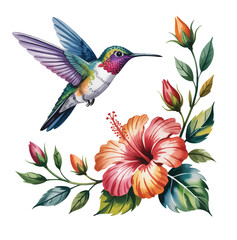 Graceful hummingbird reaching flower nectar in delicate watercolor style. © Sadhana