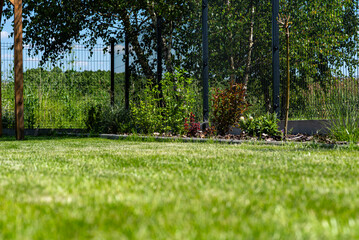 Obraz premium Green lawn foreground with garden plants by metal fence