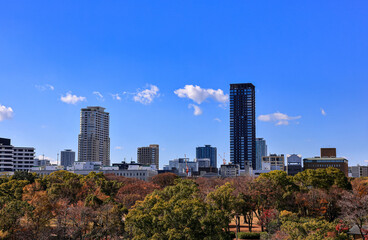 Obraz premium Cityscape skyline on CBD, skyscrapers and office building Next to the park.