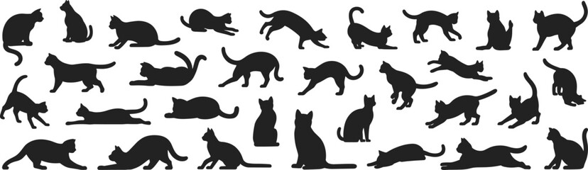Collection of 36 black cat silhouettes in diverse poses including sitting, standing, walking, running, jumping, stretching, and lying down, feline behavior illustration for design © MDAMIRHAMJA