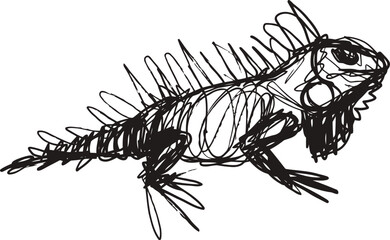 iguana lizard drawing sketch with rough lines, reptile art illustration, animal wildlife concept