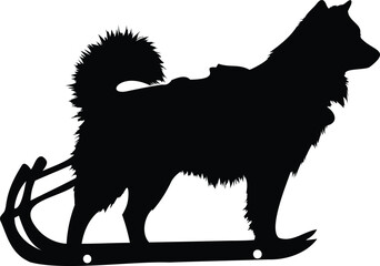 Siberian Husky pulling sled silhouette vector © MST