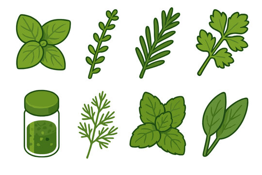 Isometric Herb Icons. Herbs & Seasonings flat icons basil leaves, thyme sprig, rosemary branch, parsley bunch, oregano jar, dill, mint leaves, sage