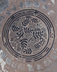 Obraz premium Manhole cover
