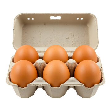 Fresh brown eggs in carton tray organic farm protein breakfast ingredient healthy food nutrition grocery isolated on transparent background
