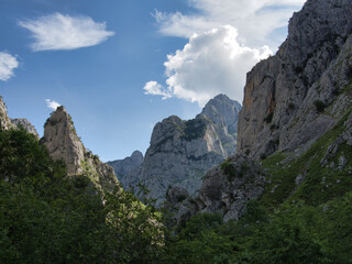 Cares Gorge rocky peaks Picos Europa - Dramatic Picos de Europa limestone peaks rising above green vegetation in a gorge, with sun breaking through clouds, Spain.