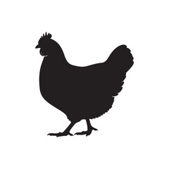 Hen black silhouette vector illustration on white background © Awais