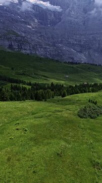 Majestic snow‑capped mountains in Switzerland rising above green alpine meadows.