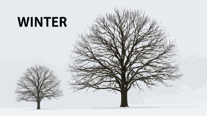 Fototapeta premium Two bare trees stand in a snowy field on a foggy winter day with a gray sky background.