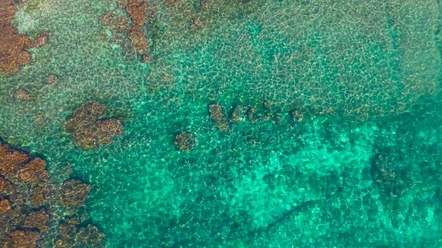 Aerial Drone Shot of Snorkeler in Crystal Clear Turquoise Water with Caustic Light Reflections Over Coral Reef
