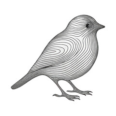 Fototapeta premium PNG Intricate bird line art illustration.