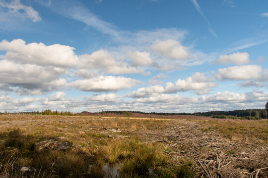 Paysage de campagne