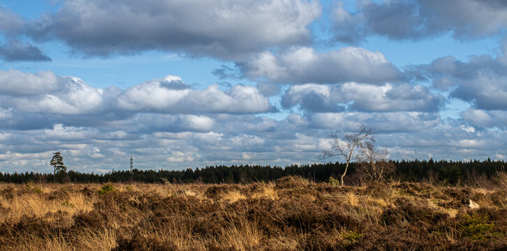 Paysage de campagne