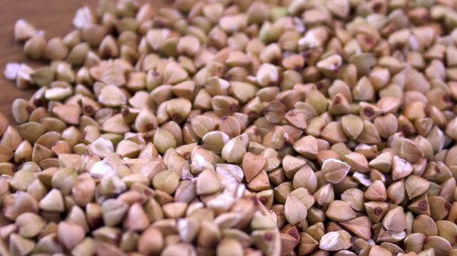 Macro shot of buckwheat grains in a wooden spoon. Raw buckwheat groats (Fagopyrum esculentum)