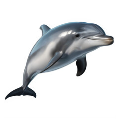 Obraz premium Gray dolphin swimming with smooth skin texture isolated on a transparent background