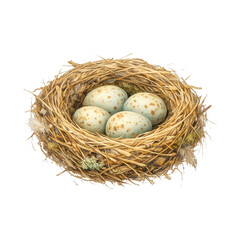 Fototapeta premium PNG Nature's delicate creation captured beautifully.