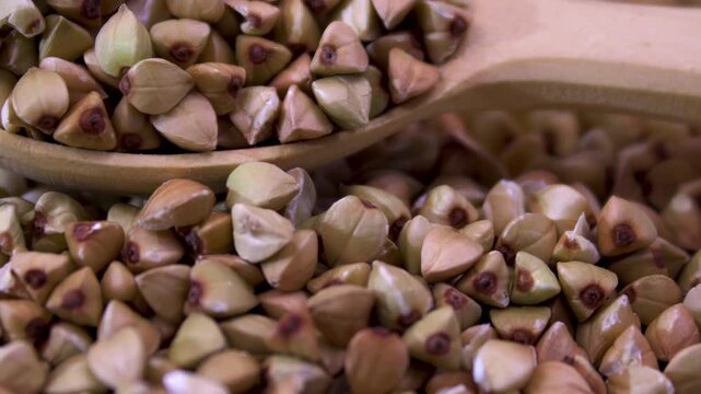 Raw Green Buckwheat Groats in Wooden Spoon Macro, Fagopyrum Esculentum Seeds Texture, Uncooked Organic Cereal Close-up, Healthy Food Ingredient.