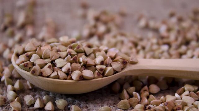 Macro shot of buckwheat grains in a wooden spoon. Raw buckwheat groats (Fagopyrum esculentum. Macro Close-up on Rustic Background