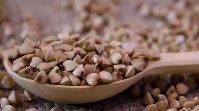 Raw Green Buckwheat (Fagopyrum esculentum) in Wooden Spoon: Macro of unroasted organic seeds on burlap
