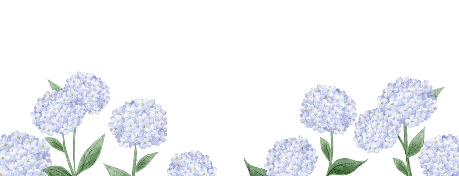 Watercolor light purple hydrangea flower footer border for rainy season and summer design.-300dpi-	