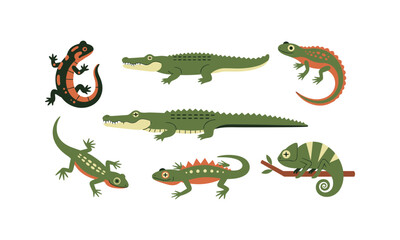 Fototapeta premium Colorful illustrations of various reptiles and amphibians