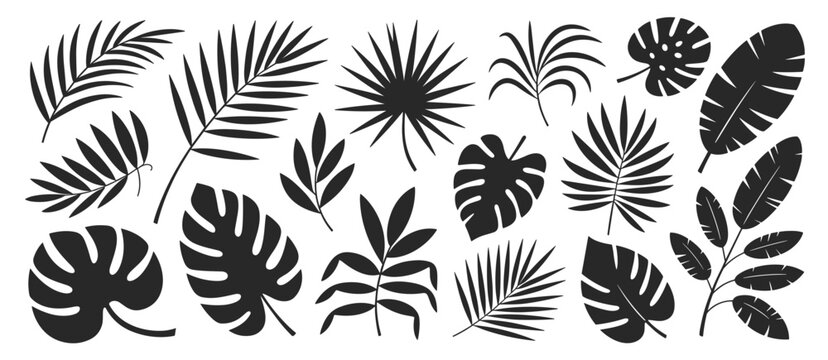 Black and white seamless floral leaf pattern with tropical foliage and branches vector design