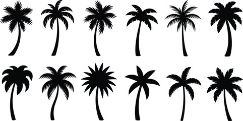 Fototapeta premium Palm tree silhouettes collection showing tropical coconut trees isolated on white background, summer beach nature vector illustration set