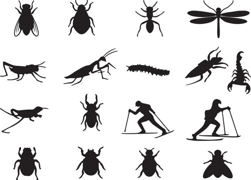 Diverse silhouettes of insects and arthropods in various forms