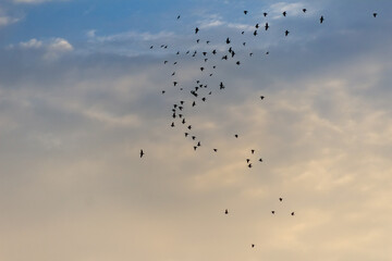 Obraz premium beautiful sky and clouds at sunset