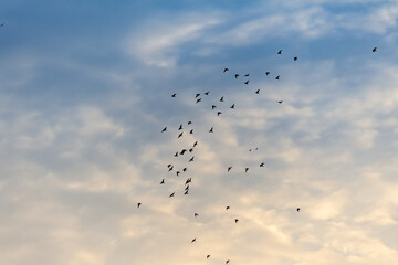 Obraz premium beautiful sky and clouds at sunset
