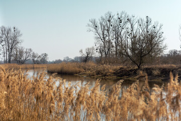 Spokój natury. Wiosna nad rzeką wartą © Grzegorz Polak