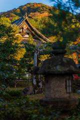  At the Kōdai-ji Temple in Kyoto, Japan