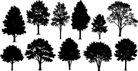 Fototapeta premium various deciduous trees silhouettes on the white background