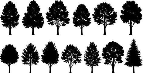 Fototapeta premium various deciduous trees silhouettes on the white background