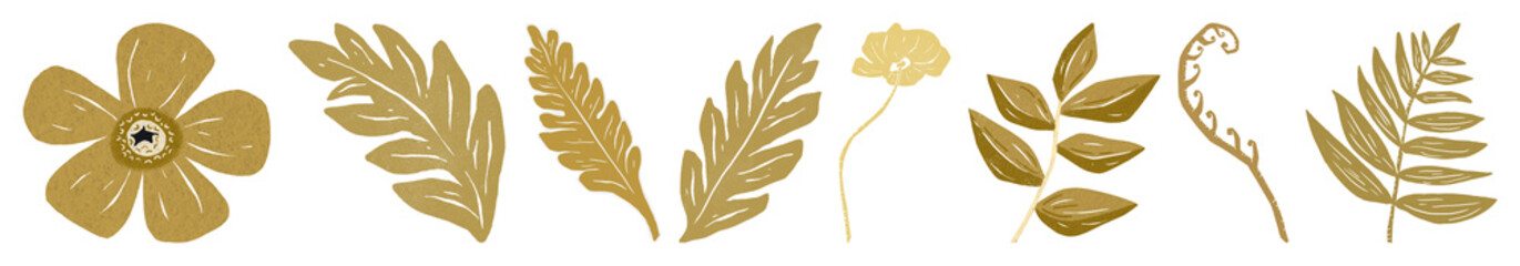 PNG Elegant golden botanical illustrations element set on transparent background