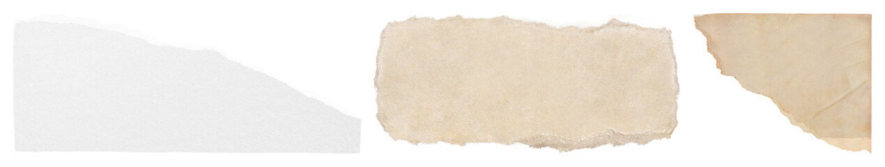 PNG Torn paper texture collection on transparent background