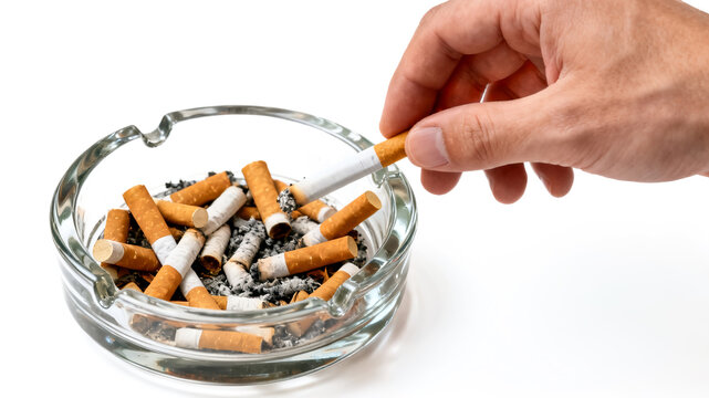 cigarette filters material cellulose acetate non-biodegradable Cigarette butts containing plastic filters are the most littered item in the world. Many smokers assume the filters are made of a biodegradable material. In fact, filters are made of cellulose acetate --