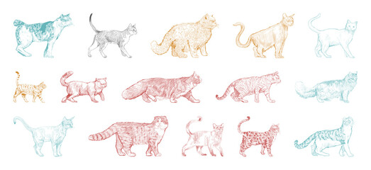 Obraz premium PNG Colorful silhouette cats pattern element set on transparent background