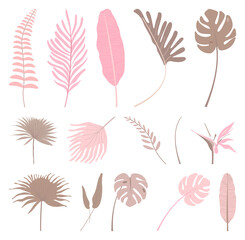 Naklejka premium PNG Elegant pastel botanical illustrations element set on transparent background