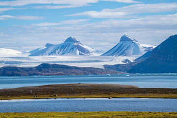 Bay on the base of snow covered mountains, across from the research station at Ny Alesund, Svalbard, Norway